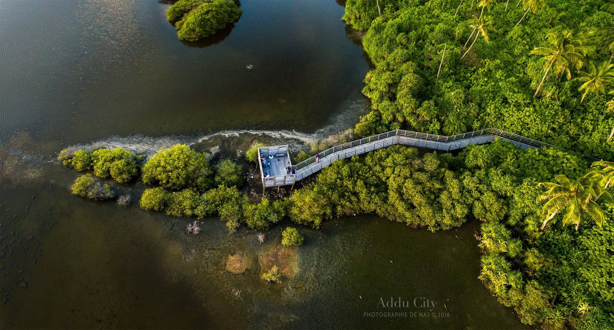 Aerial view of Addu City wetlands and boardwalk
